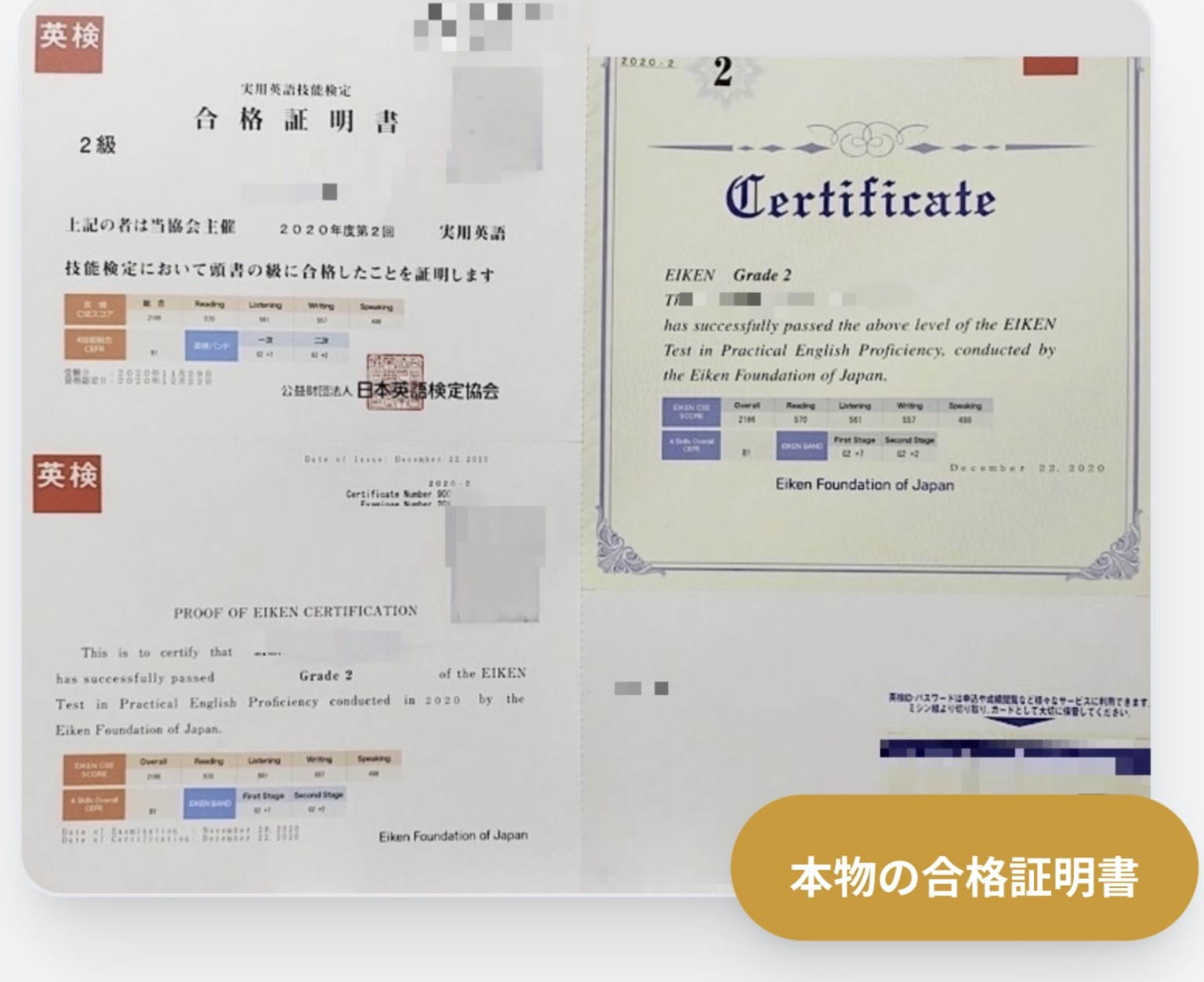 指導を受けた生徒の合格実績を示す資料